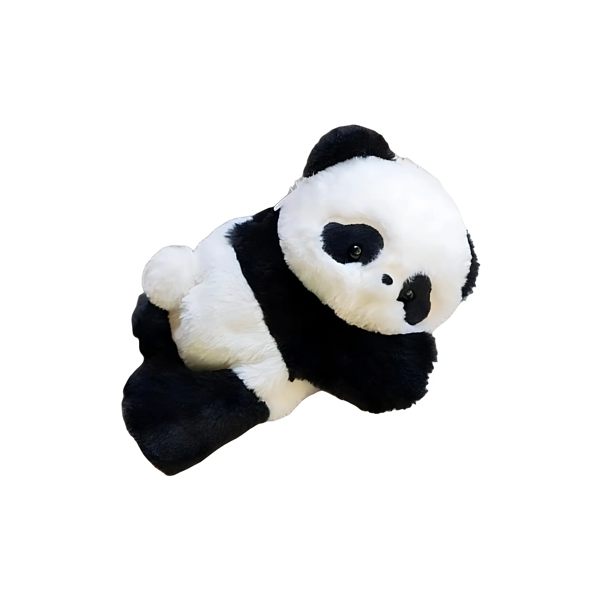 Holding Bamboo Полиэстер Рюкзак Стандартный Женский Черный Белый