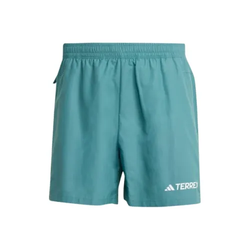 Adidas TERREX Циановый Мужские Повседневные Шорты