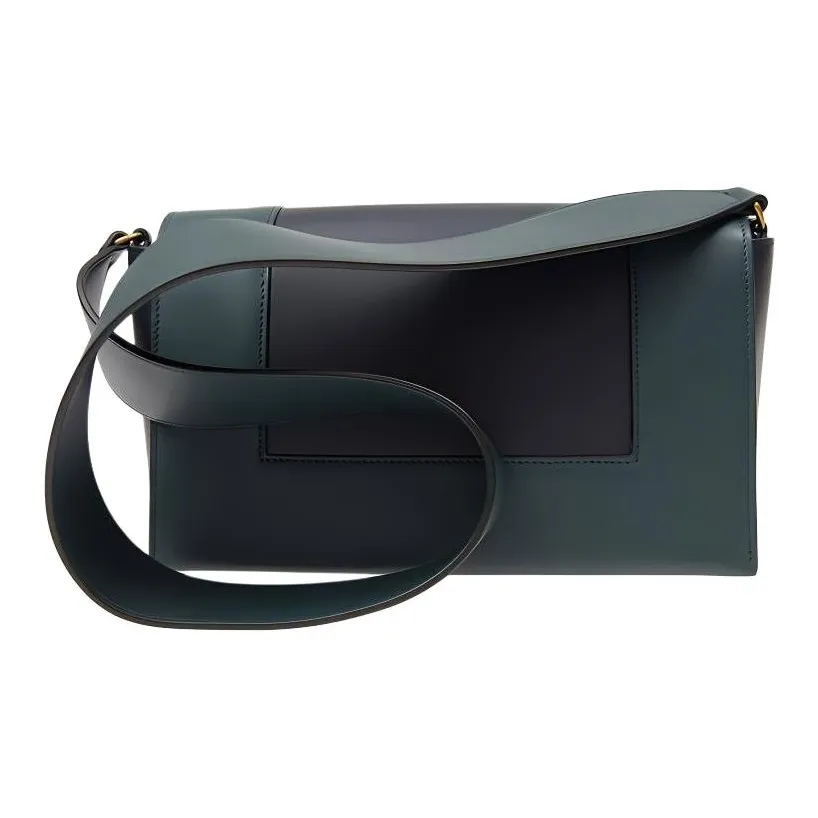 CELINE Frame Cow Leather Crossbody Bag Handbag Shoulder Bag Medium Size Women's Blue & Green