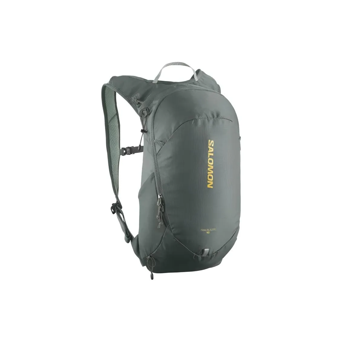 SALOMON 10L Outdoor Bags Polyamide Green Unisex