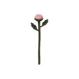 국화 버드/핑크, 싱글 스텝