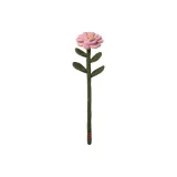 카멜리아/핑크, 싱글 스텝