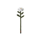 카멜리아/화이트, 싱글 스텝