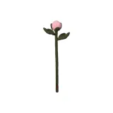 피오니 버드/핑크, 싱글 스텝