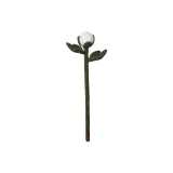 피오니 버드/화이트, 싱글 스텝