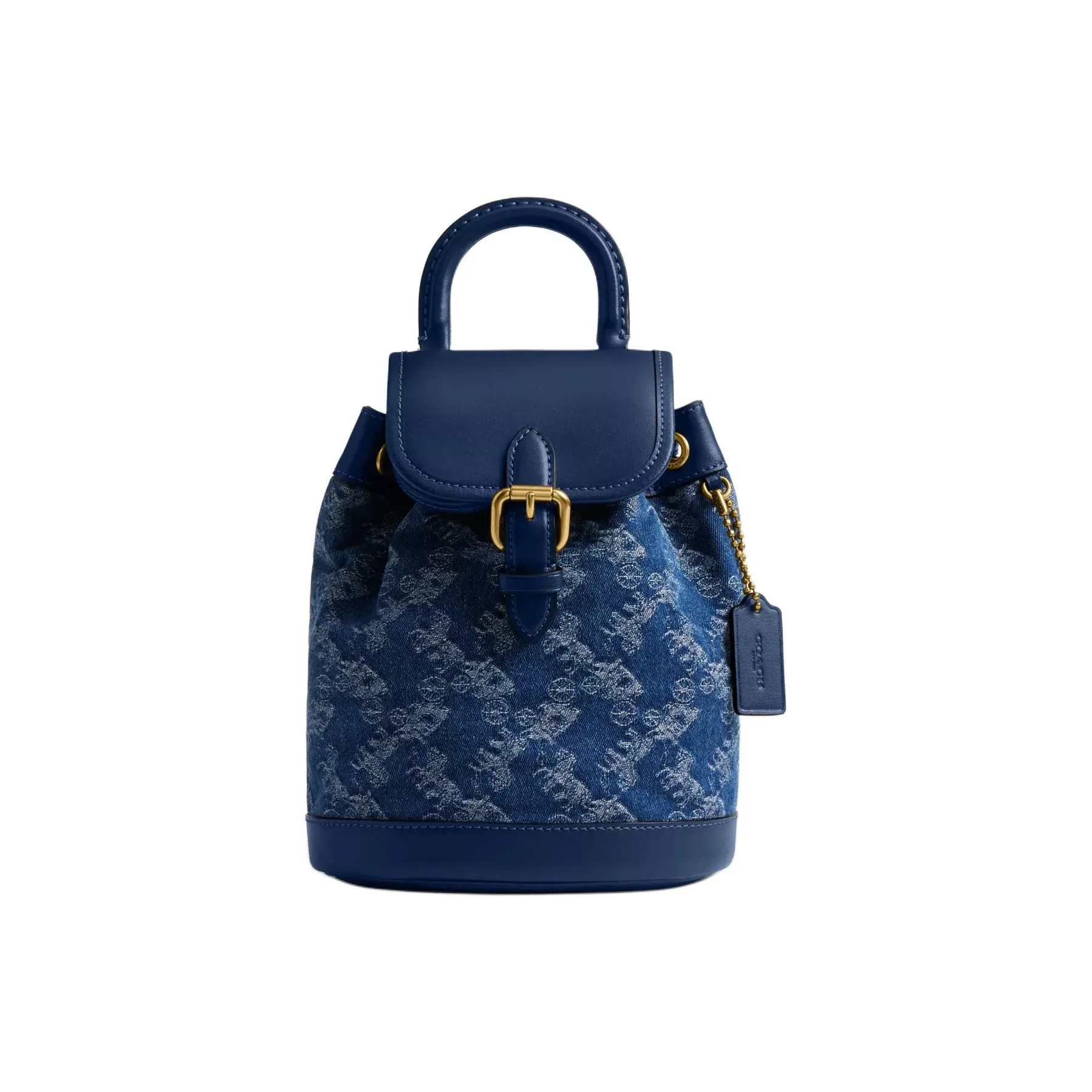 COACH Coated Canvas With Leather Backpack Small Size Women's Blue