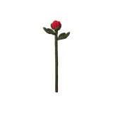 피오니 버드/레드, 싱글 스텝