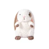 앉은 자세 토끼