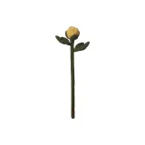 피오니 버드/옐로우, 싱글 스텝