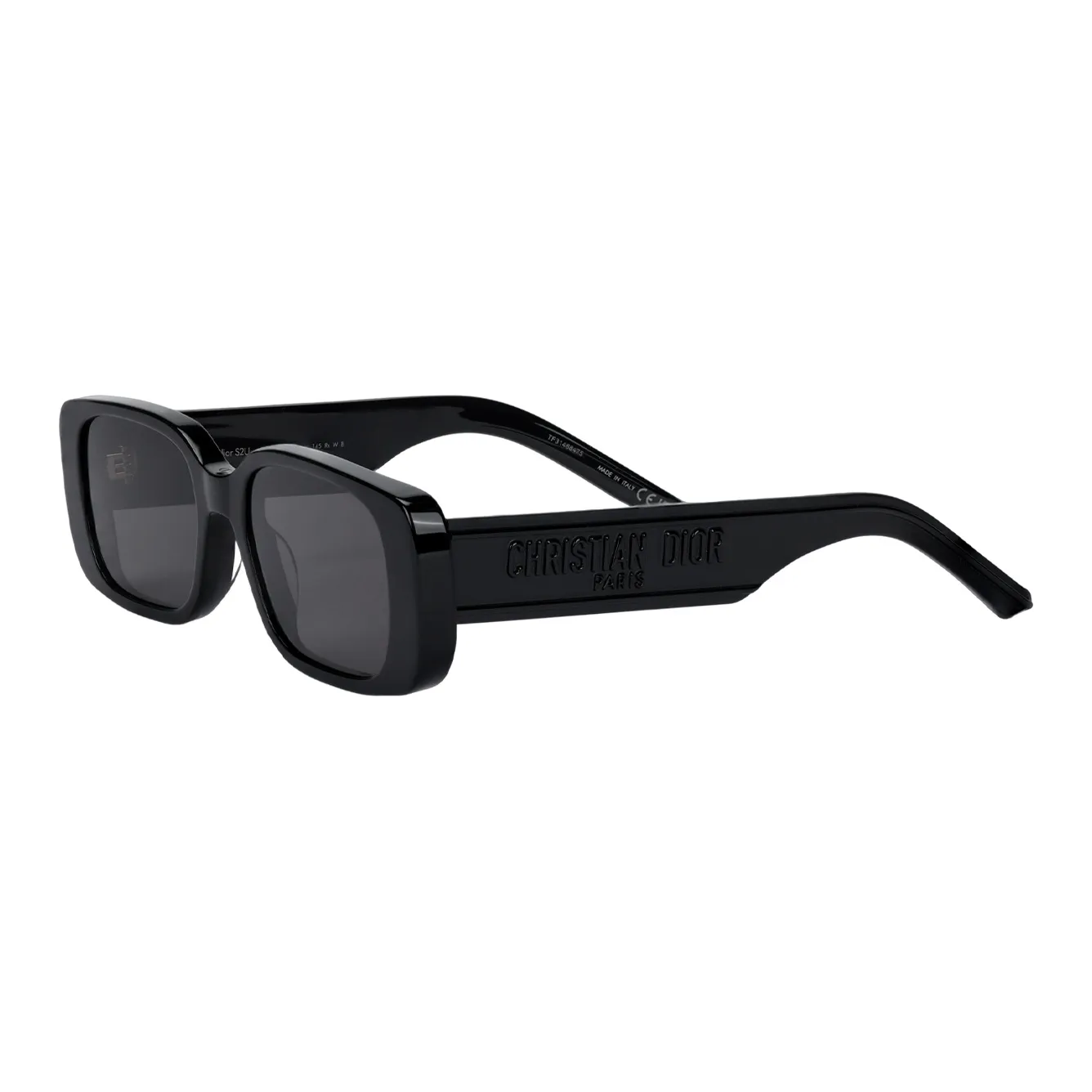 DIOR Eyewear WilDIOR S2U Sunglasses Black