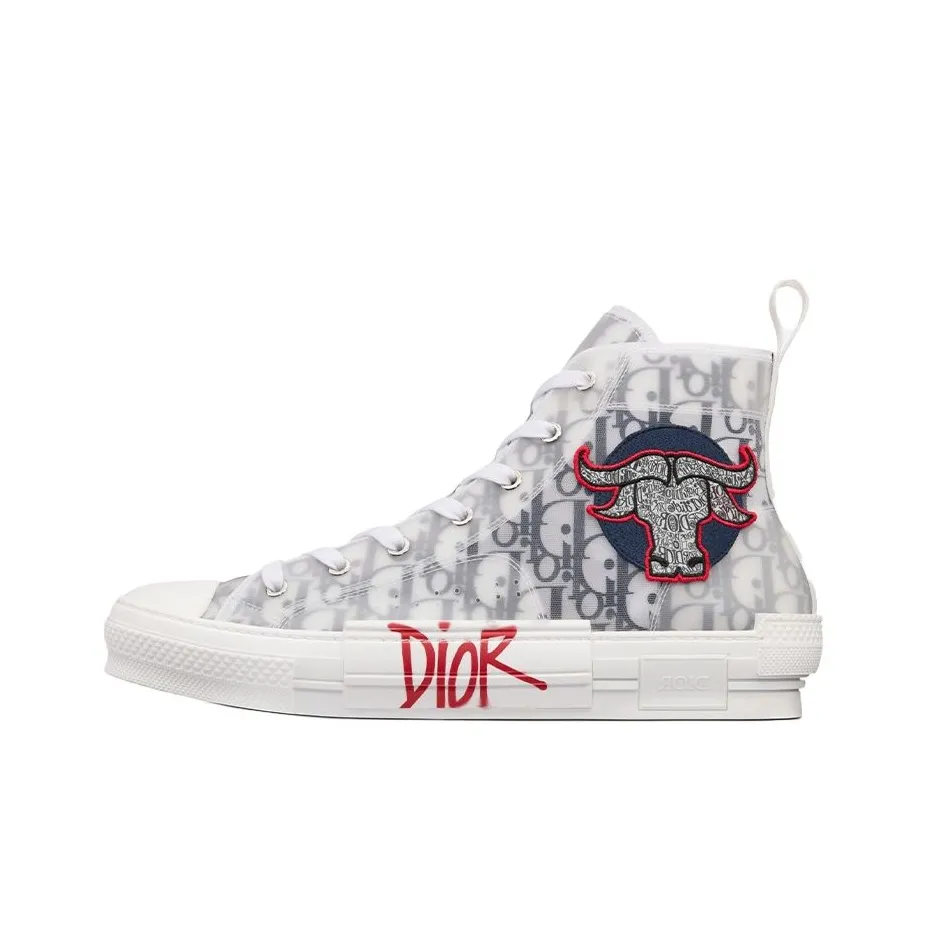 DIOR And Shawn B23 High