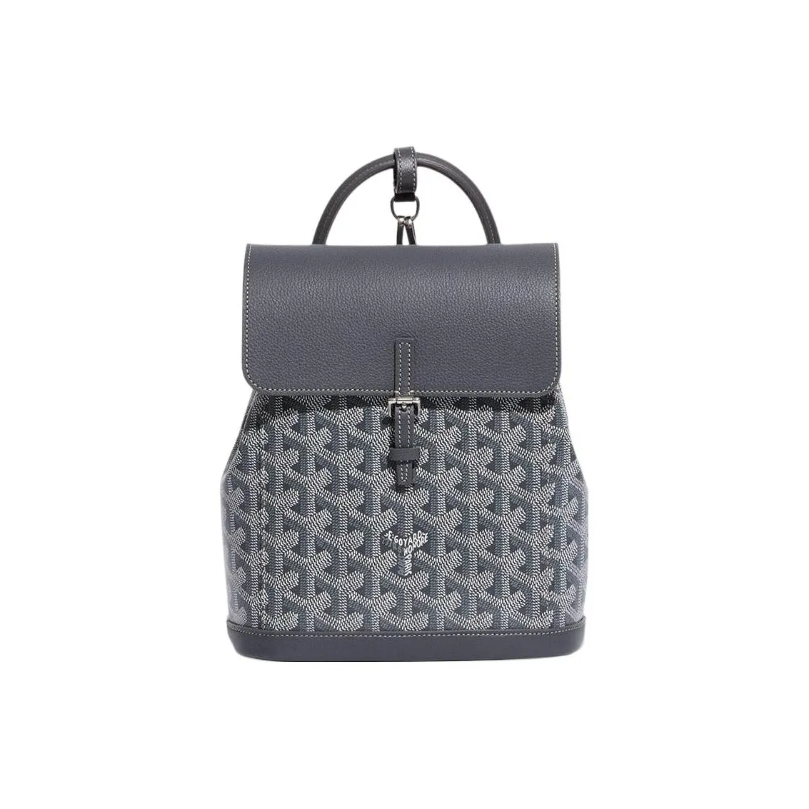GOYARD Alpin Canvas With Leather Backpack Mini Unisex Gray