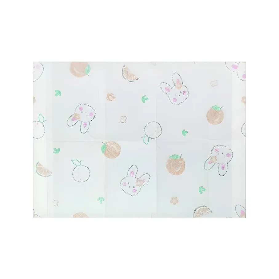 Haiying Fabric Disposable Kids Placemat Portable For Outdoor Use Oil Resistant And Waterproof