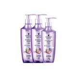 3종 세트: Resilience 코어 리페어 샴푸 600ml*2 + Resilience 코어 리페어 컨디셔너 400ml