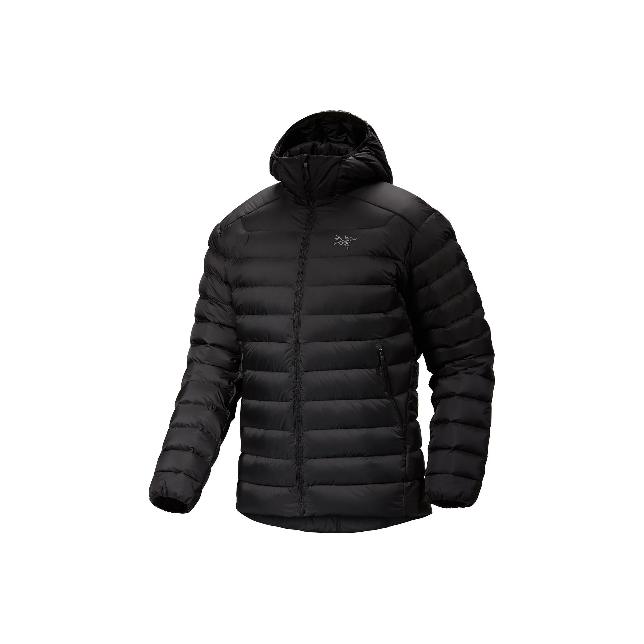 Arc'teryx Cerium Hoodie Jacket