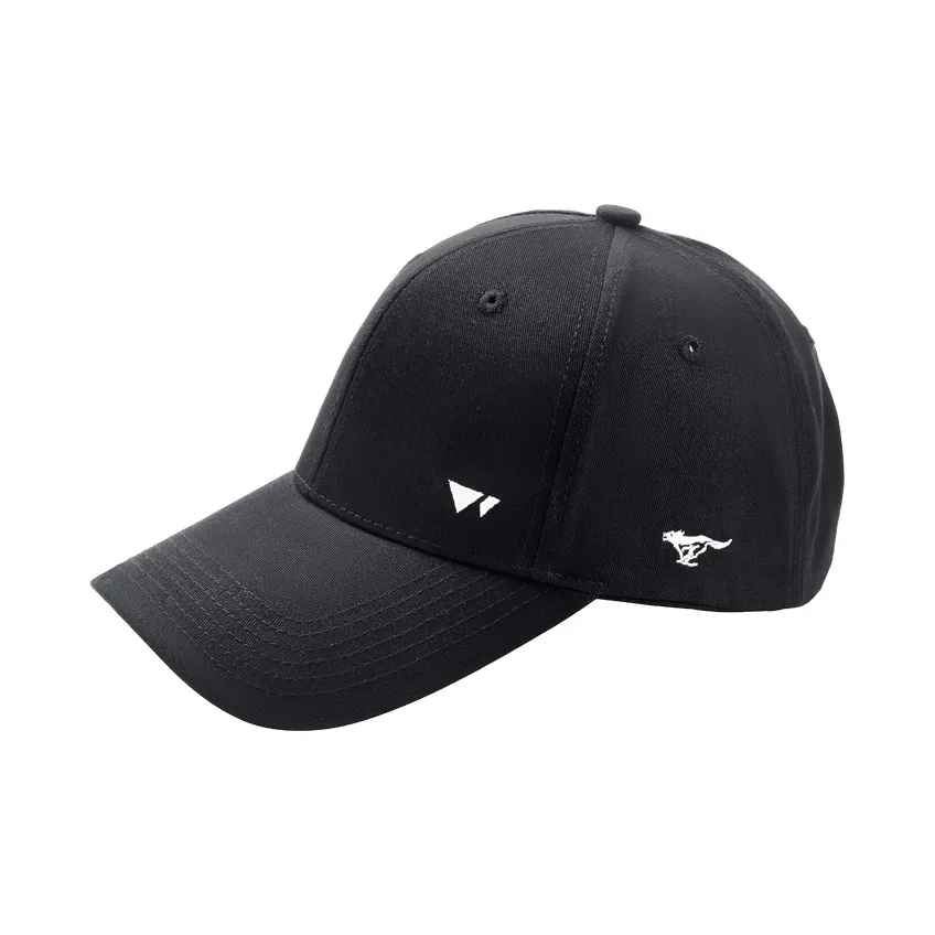 SEPTWOLVES Хлопок Защита от солнца Длинный козырек Бейсболка QPL Мужская