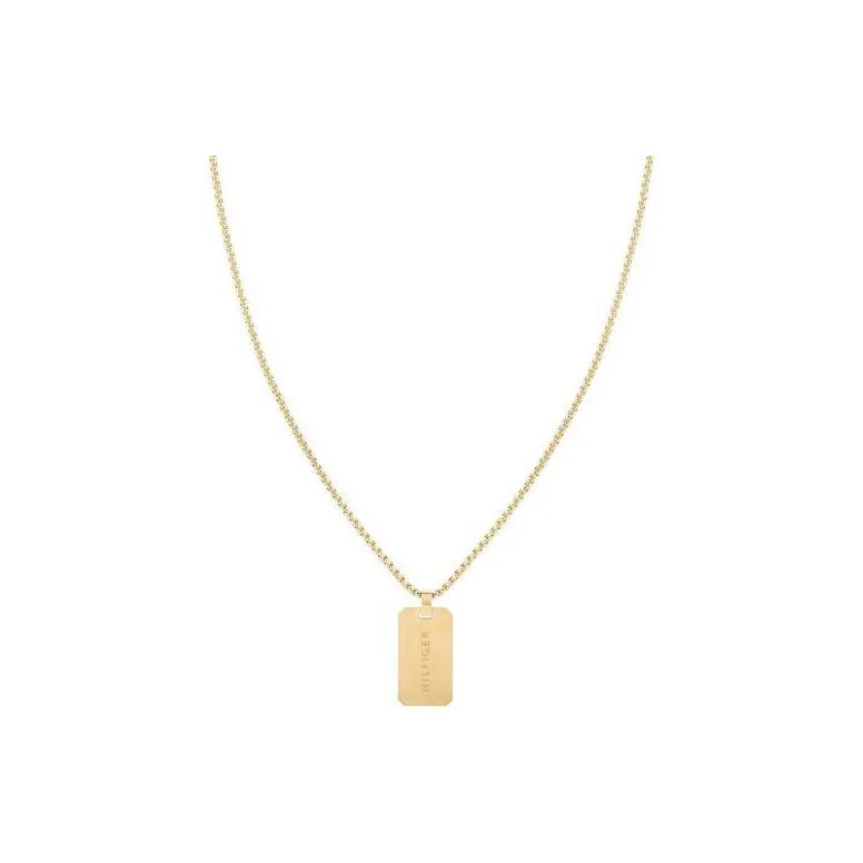 Tommy Hilfiger Stainless Steel Necklaces Men's Gold