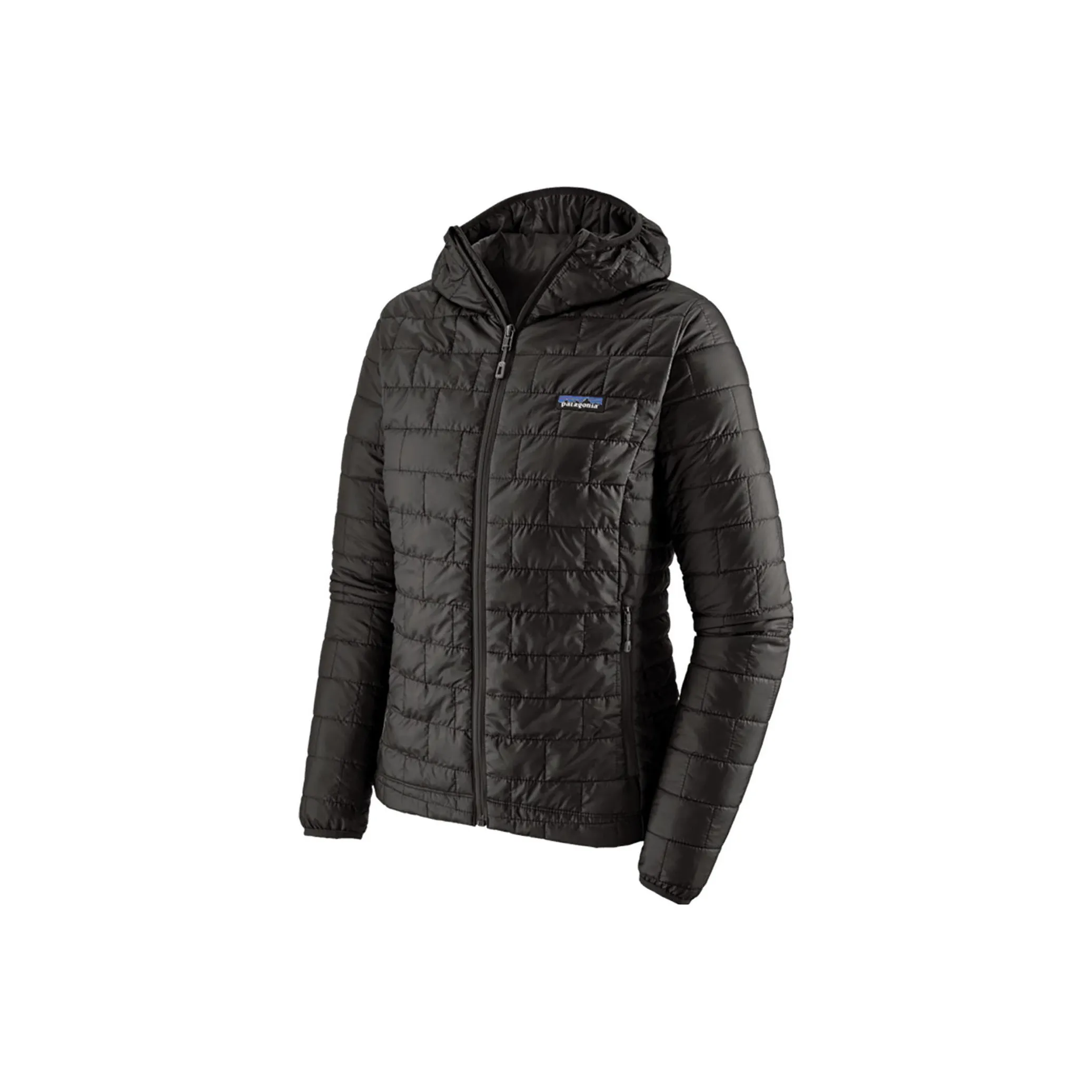 Patagonia Nano Puff Hoody Jacket