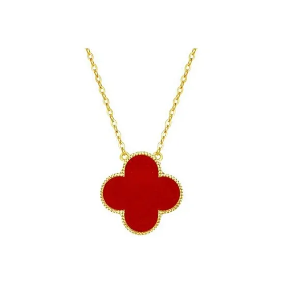 The Star Of The Water Shell Agate Necklaces Unisex