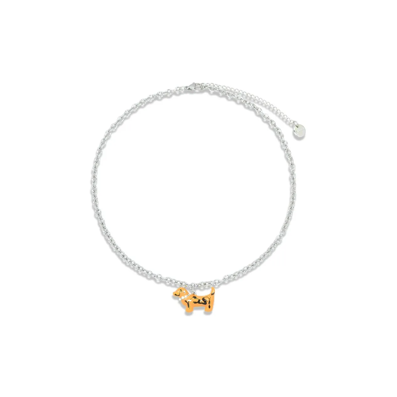 AWE Титановое стальное ожерелье для студентов вечеринка эксклюзивный дизайн SENSE щенок собака цепочка для ключицы женское