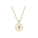 파워 Birthstone 동전 목걸이 (2월)