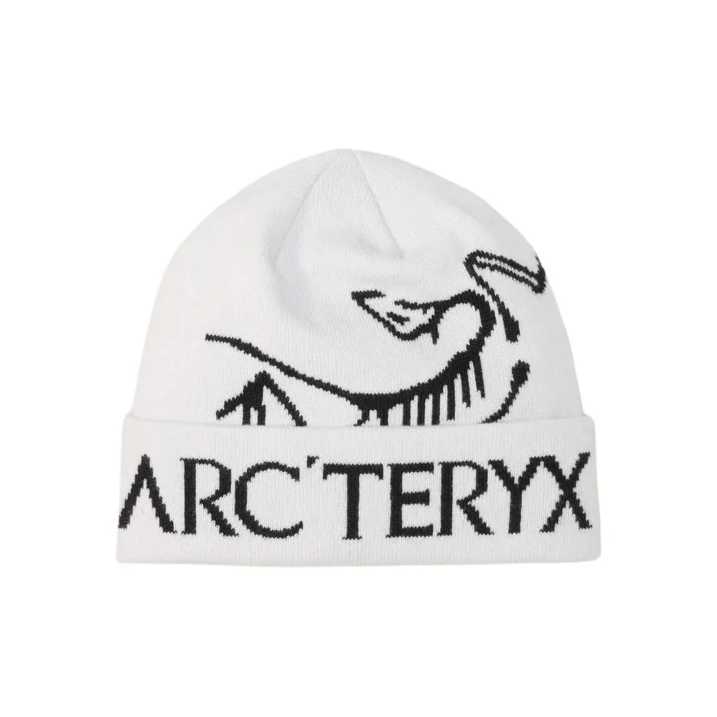 Arcteryx Переработанный полиэстер Шапки-бини Унисекс Орка