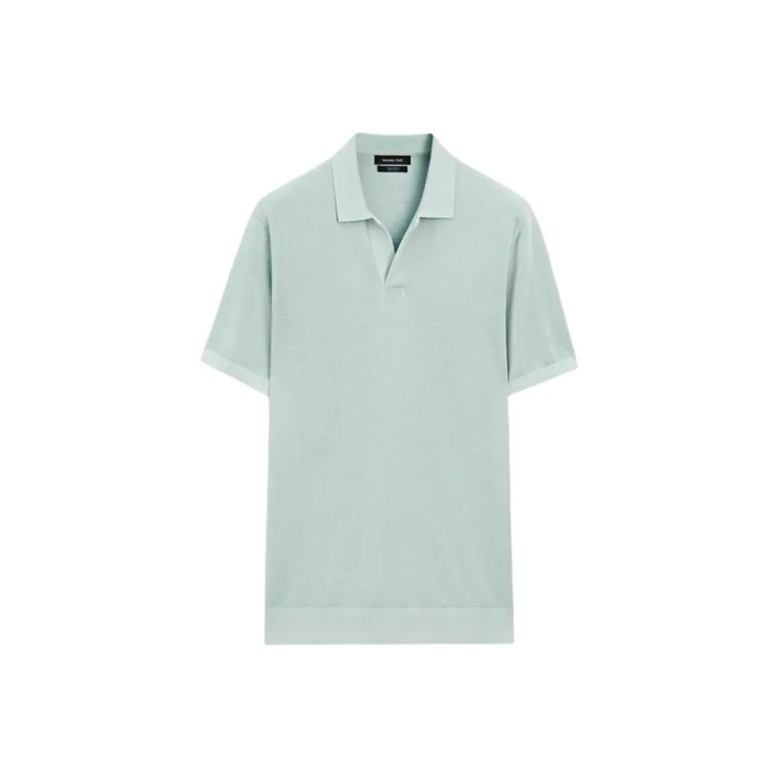 Massimo Dutti Бирюзовая Мужская Поло