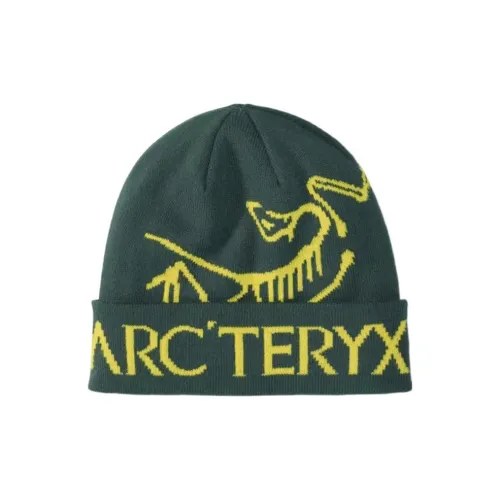 Arcteryx Шапки-бини Унисекс