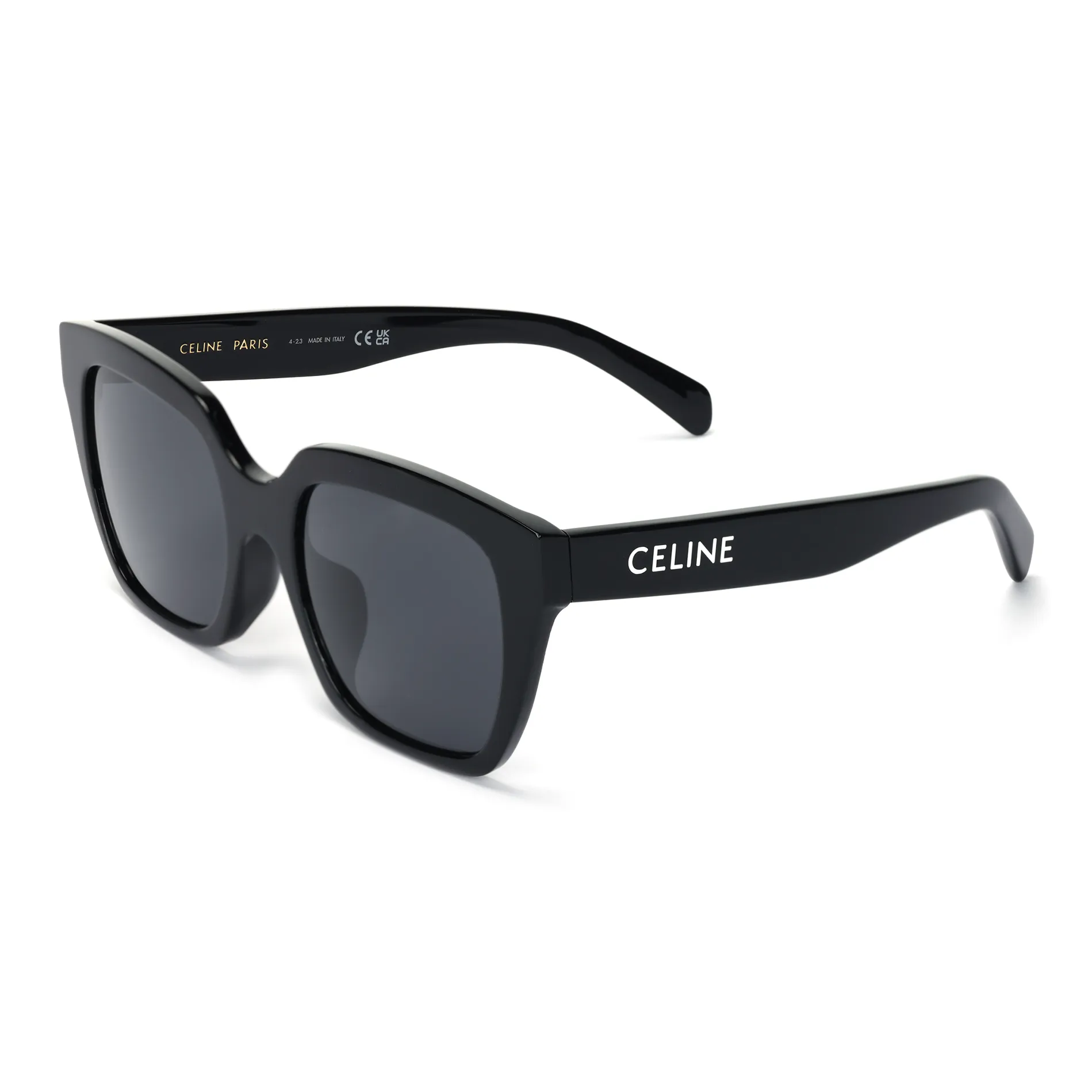 CELINE Monochroms 03 Sunglasses In Acetate