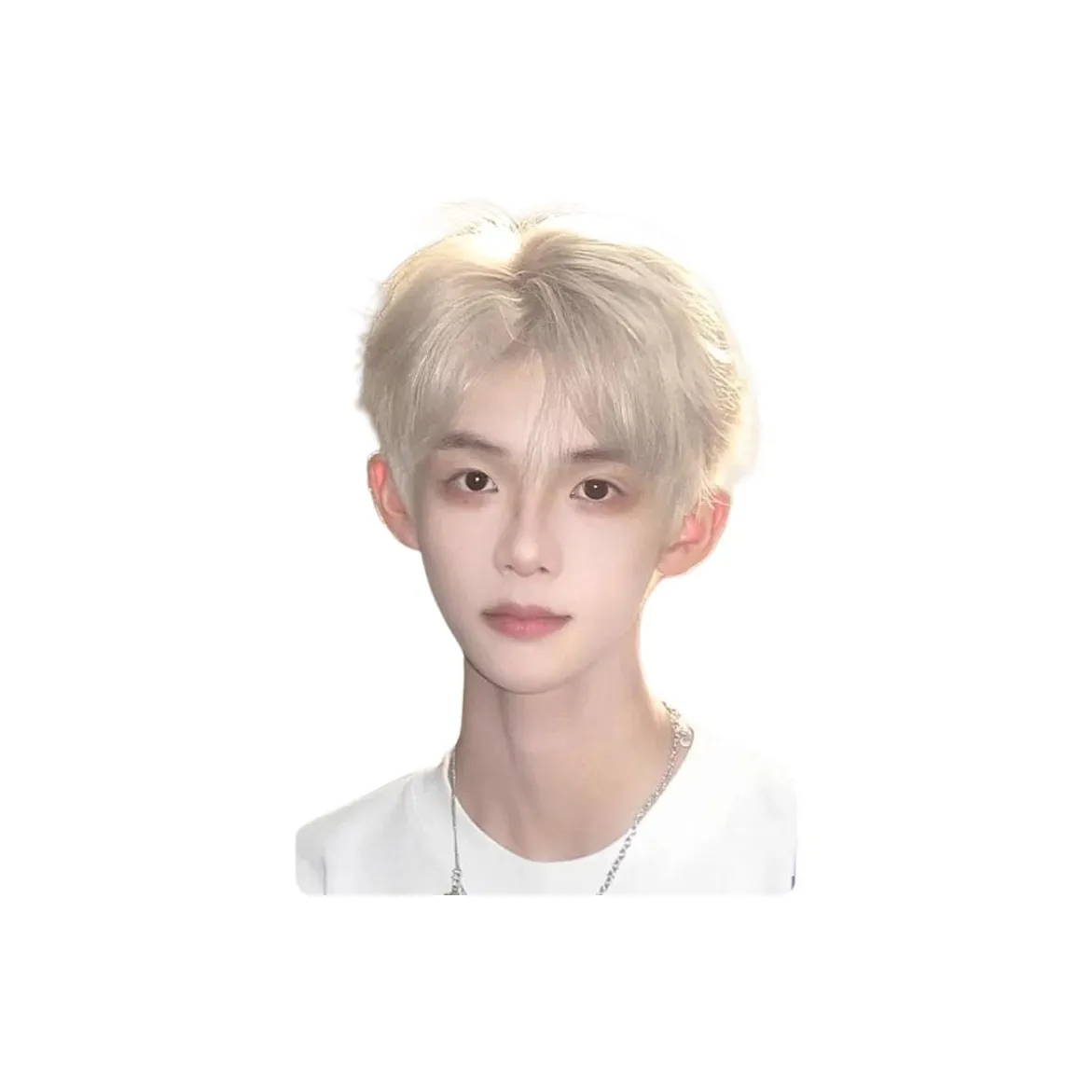 Sweet Pillow House Высокая температура Пряжа Короткие Кудрявые Волосы