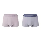 카메오 브라운+라이트 퍼플