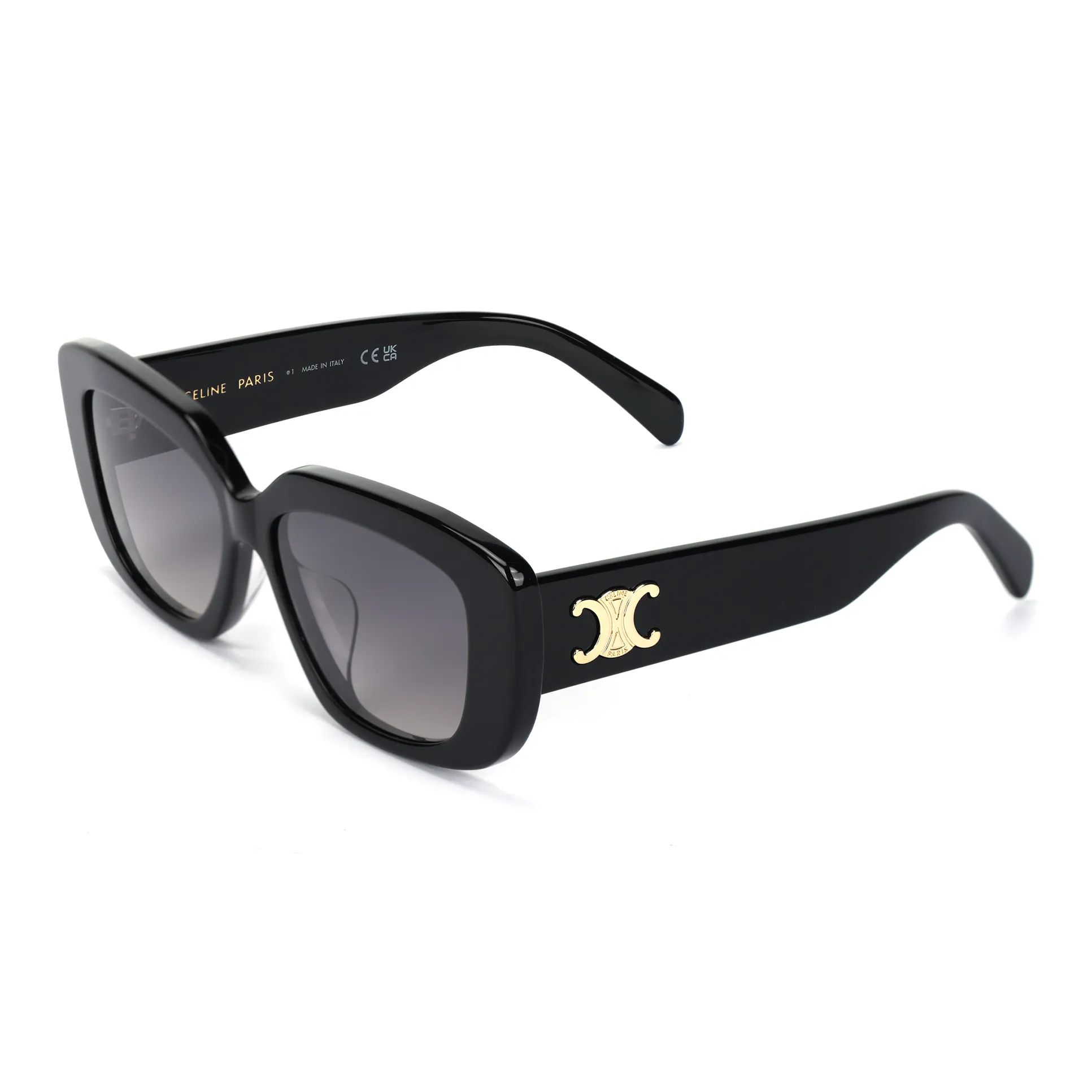 CELINE Triomphe 04 Sunglasses In Acetate