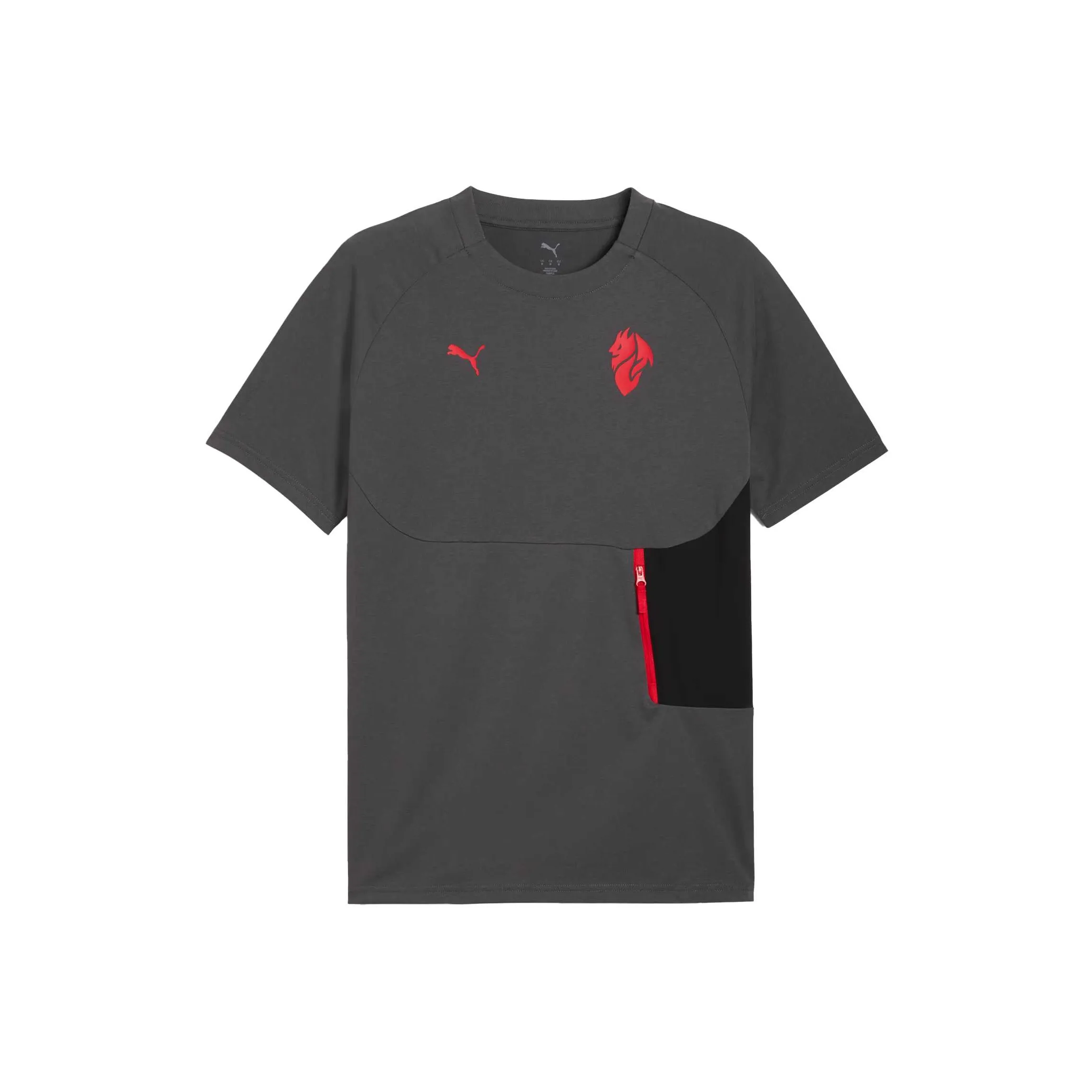 PUMA AC MILAN Серый Мужской T-Рубашки