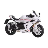 Qianjiang Race 600RS[화이트]