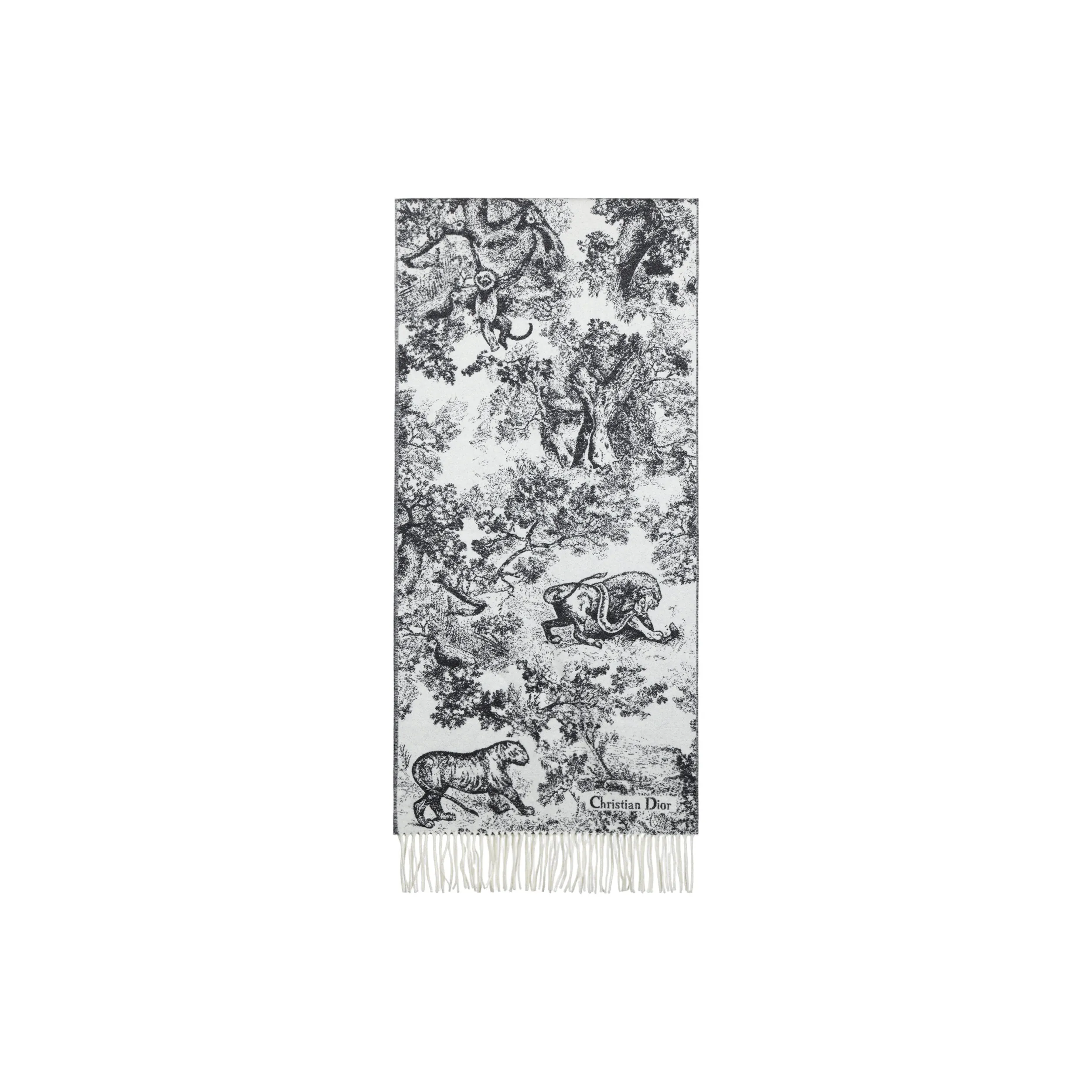 DIOR Knit Scarves Women's
