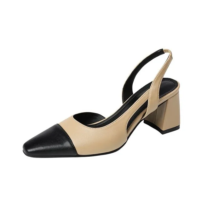 Beijiani Грубый каблук Высокие каблуки 6,5CM Мужской