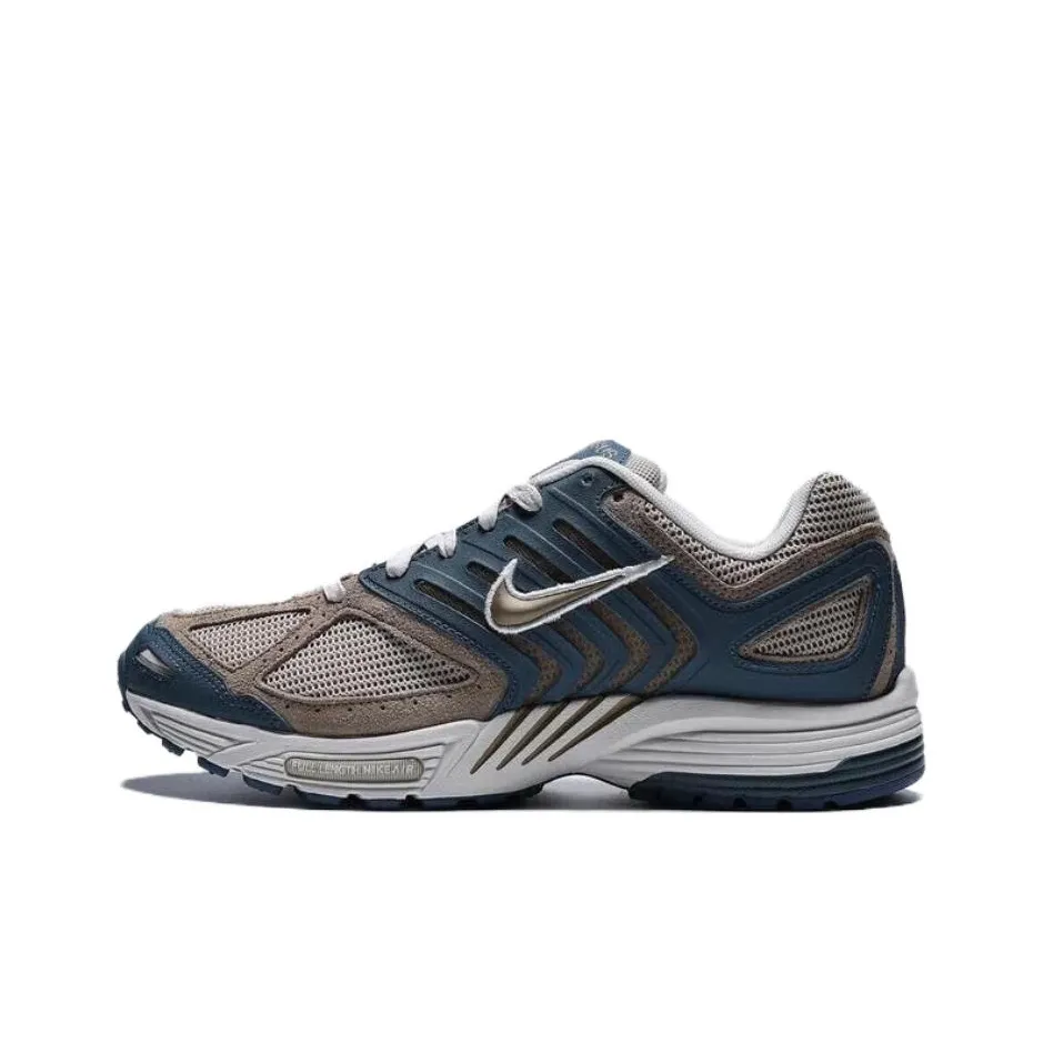 Nike Air Pegasus 2005 Casual Мужской Синий Коричневый