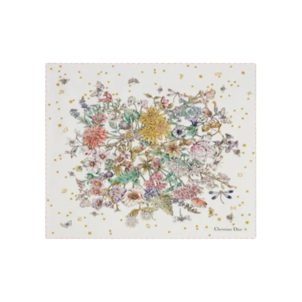 DIOR Шелковые шарфы Женские Многоцветные