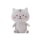 퍼피 고양이