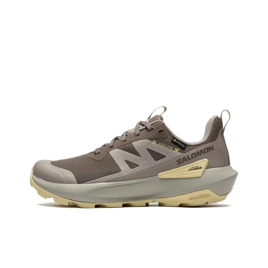 SALOMON Elixir Shock Absorbers Водонепроницаемый и дышащий Поддержка Легкий Сцепление Низкий Топ Походная обувь Женская Коричневый