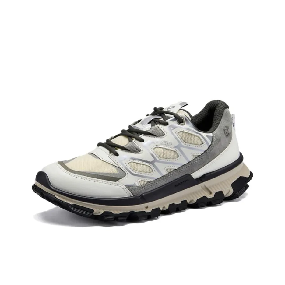 Ecco Водонепроницаемый Низкий Топ Походная Обувь Женская