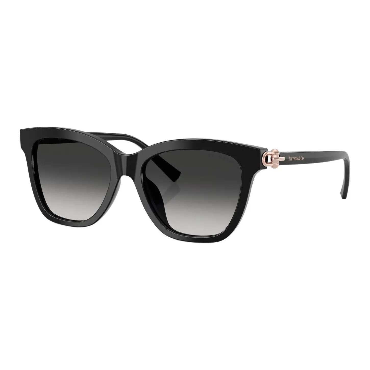 TIFFANY CO. Пластина And Металл Ацетат Квадрат Солнцезащитные очки Женские Черный