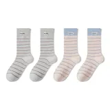 4팩 (2 라이트 그레이 + 2 오츠)