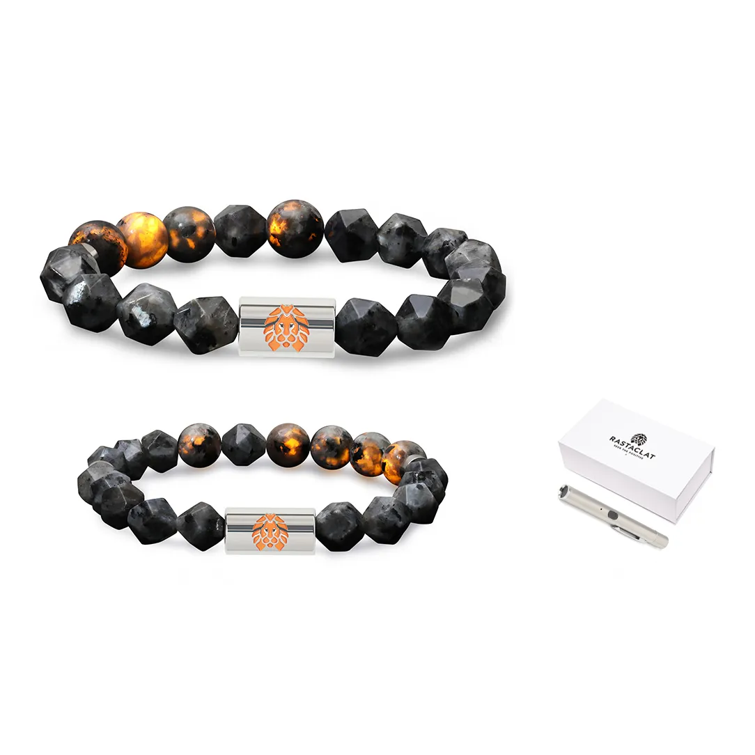 Rastaclat Черный Шунгит Маленький Лев Китайский стиль Браслет с бусинами Унисекс