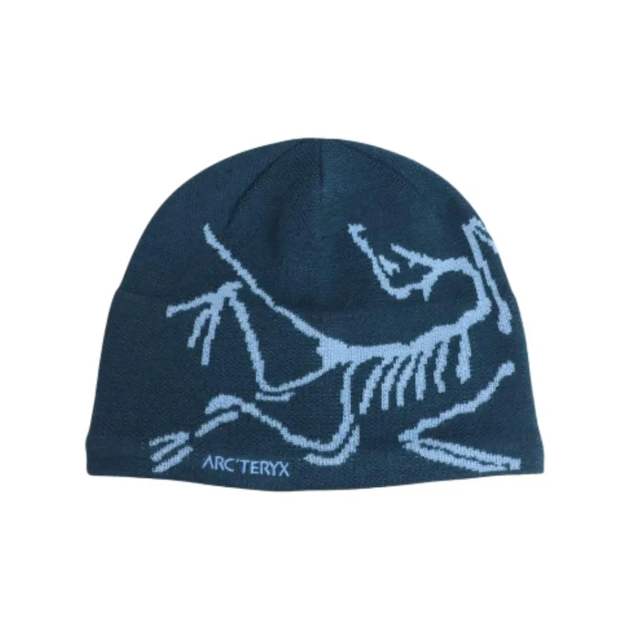 Arcteryx Шерсть Бини Унисекс Синий