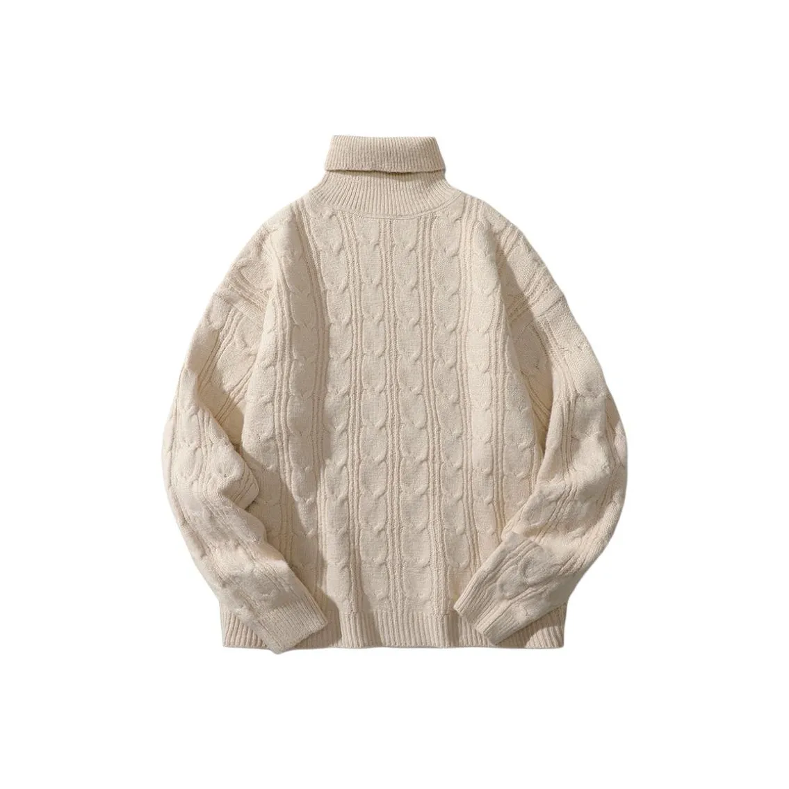 CariteSport Деловой повседневный стиль Водолазка Трикотаж Мужской