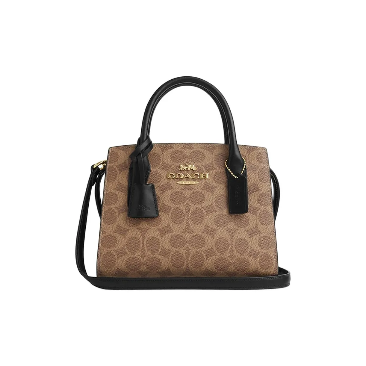 COACH ANDREA CARRYALL Сумки-клатчи Женские