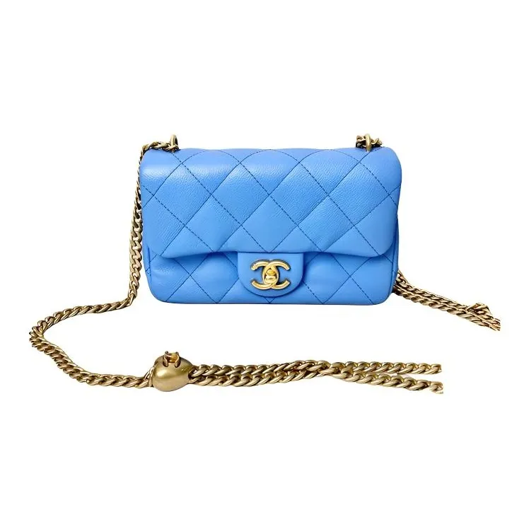 CHANEL Crossbody Bags