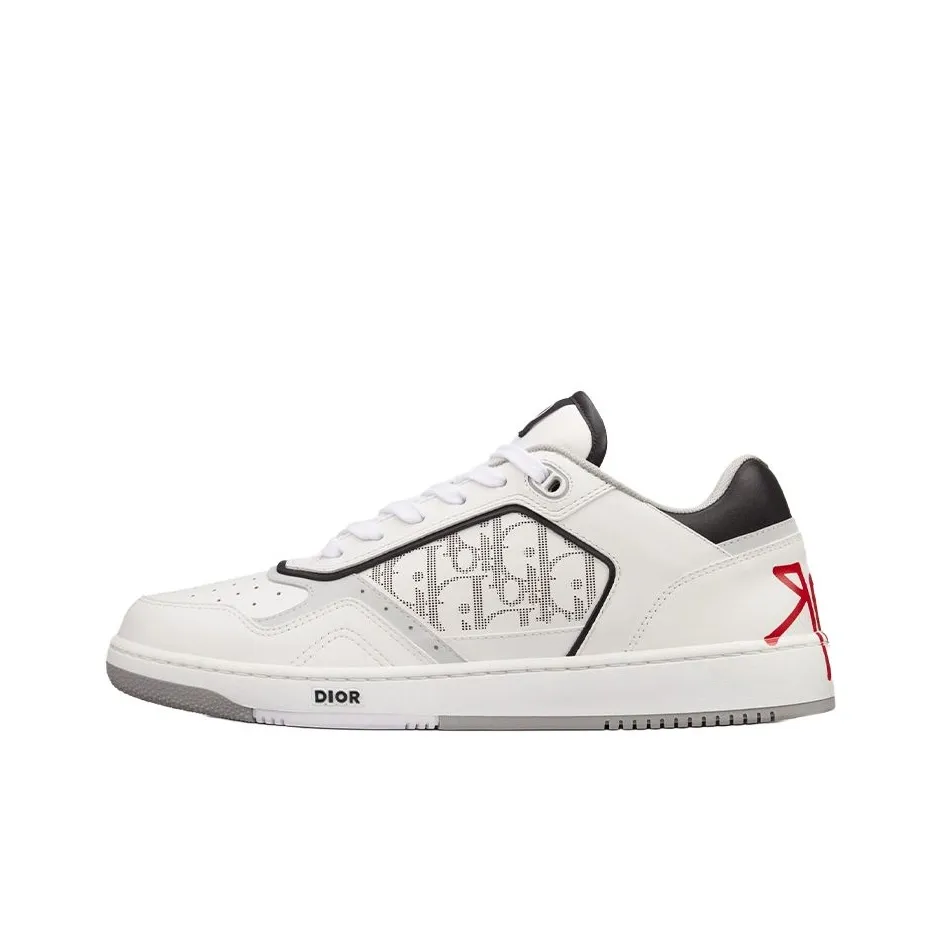 DIOR B27 Skateboard Shoes Men Low Top White/Gray
