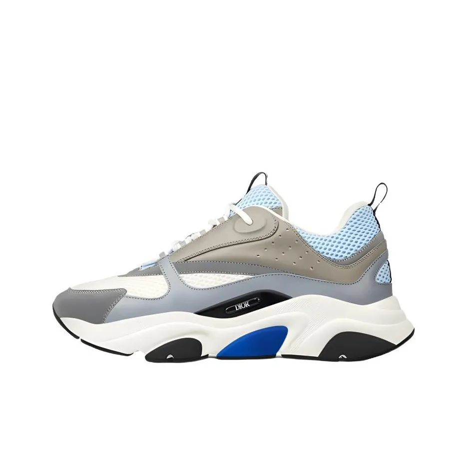 DIOR B22 Casual Shoes Unisex Low Top White Gray Blue